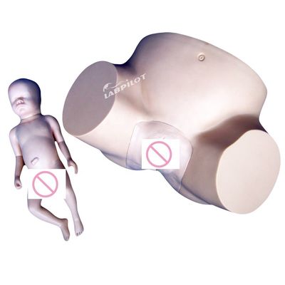 Schulen Vakuum Geburtssimulator mit weichen Babypuppe und menschliche Lebensgröße