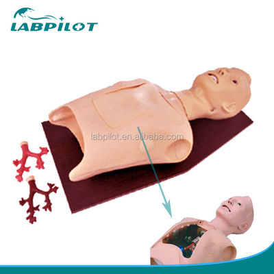 Patientenbetreuung Ausbildung Medizinische Bronchoskopie und Intubation Simulator mit Alarmen