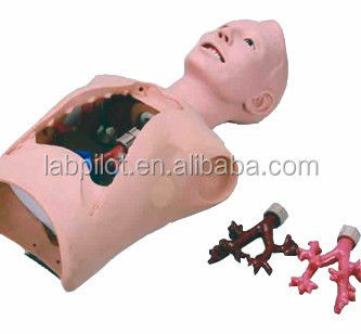 Patientenbetreuung Ausbildung Medizinische Bronchoskopie und Intubation Simulator mit Alarmen