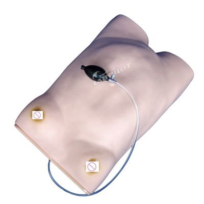 Erweiterte PVC-Mutterschafts-Krankenpflege-Mannequin für die Mutterschaftspalpations-Ausbildung