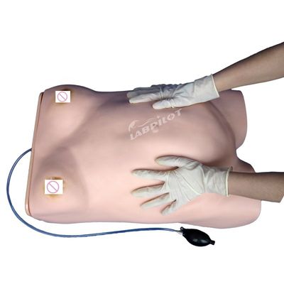 Menschliche Lebensgröße Schwangerschaft Auskultationsmannequin Lehrsimulator für Medizinische Wissenschaft
