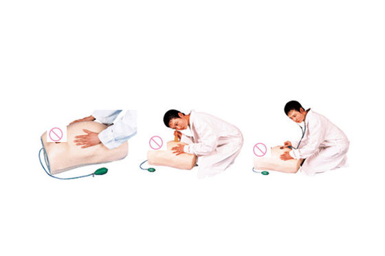 Erweiterte PVC-Mutterschafts-Krankenpflege-Mannequin für die Mutterschaftspalpations-Ausbildung