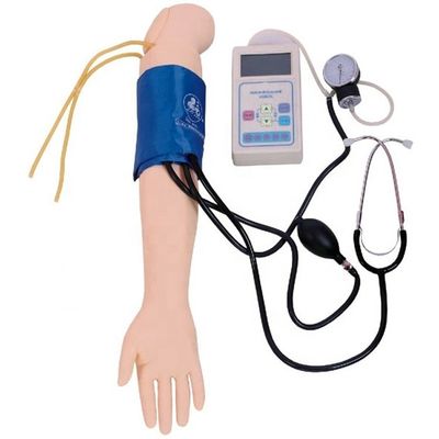 Arterielle Blutdruckmessung Training Arm Modell Kategorien Bildungsmannequin