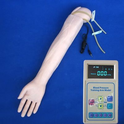Arterielle Blutdruckmessung Training Arm Modell Kategorien Bildungsmannequin