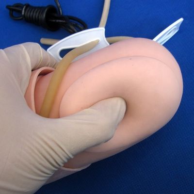 Arterielle Blutdruckmessung Training Arm Modell Kategorien Bildungsmannequin