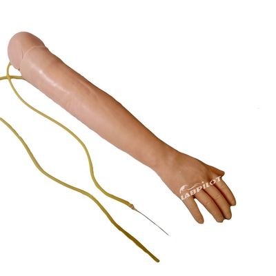 Medizinische Wissenschaft Venipuncture und IM Injektion Training Arm Modell mit verschont Haut