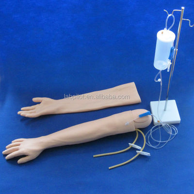 Vivium-Arm-Modell für IV-Injektionsschulung Multifunktionsmodell für klinische Krankenpflege