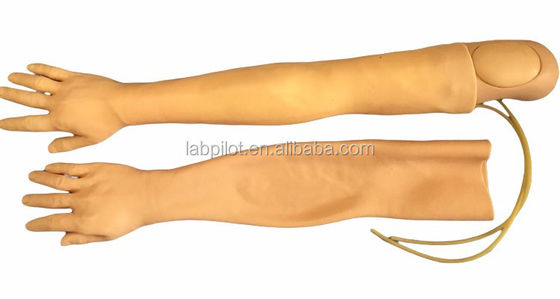 Vivium-Arm-Modell für IV-Injektionsschulung Multifunktionsmodell für klinische Krankenpflege