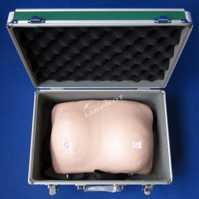 Selbstuntersuchung der Brust Training Mannequin realistisches Hautmodell für die gynäkologische Versorgung