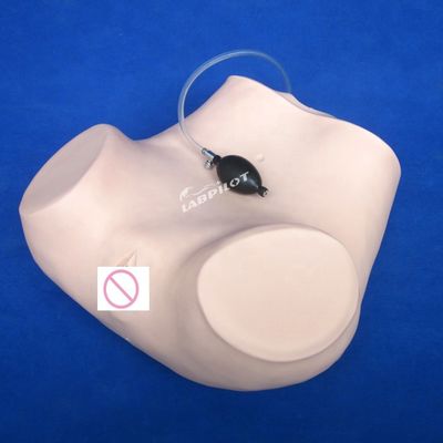 PVC-Palpation Gynäkologische Untersuchung Schulungsmannequin mit Verhütungsfunktion