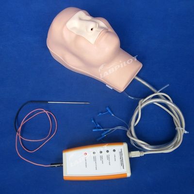 Nasal Hämostase Kauterierung und Packing Training Manikin für Funktion Medizinisches Modell