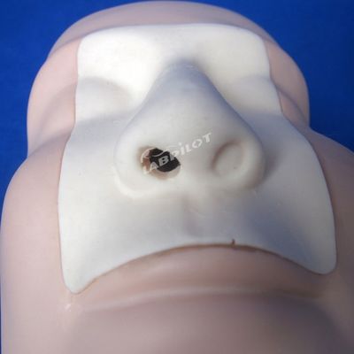 Nasal Hämostase Kauterierung und Packing Training Manikin für Funktion Medizinisches Modell