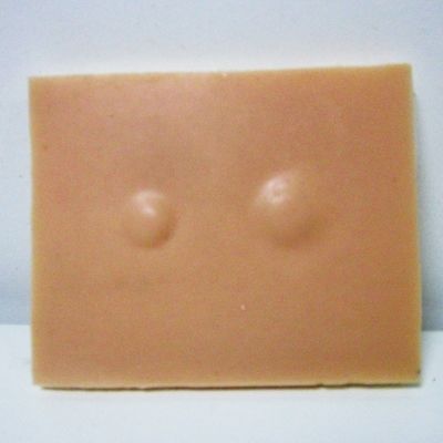 Soft Lipoma Exzision Skin Pad Klinische Pflege Qualifikationen Training Simulator Praxis