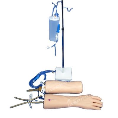 IV-Infusionsschulungsmodell Weichhaut Hand und Ellenbogen Intravenöser Transfusionsschulungsarm