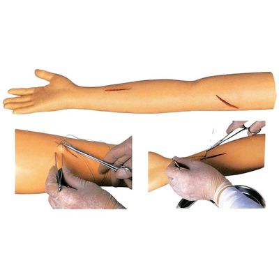 Mannequin für fortgeschrittene Nähpraxis Chirurgische Nähtrainingsarmmodell