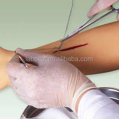 Mannequin für fortgeschrittene Nähpraxis Chirurgische Nähtrainingsarmmodell