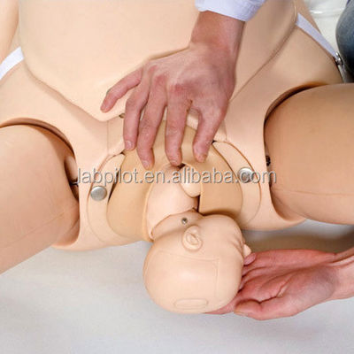 Erweiterte PVC-Systeme zur Ausbildung von Geburtshilfe für Notfallpflege und Pflege