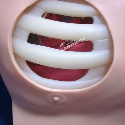 Erweiterte PVC-Dekompressionsmannequin für die künstliche Hydrothorax-Simulation