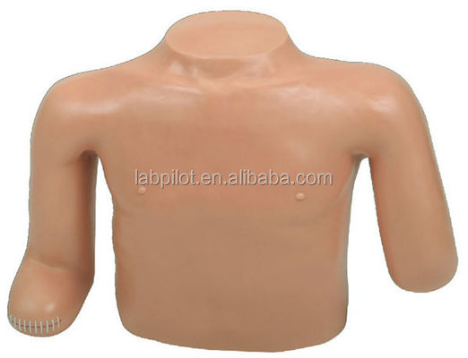 Medizinische Wissenschaft Patientenpflege Ausbildung Oberbein Torso Amputation Dummy Dressing und Verband Training Modell