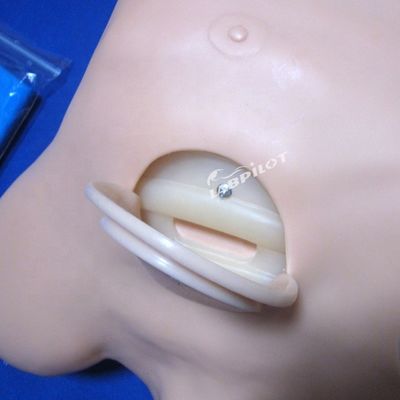 Erweiterte PVC-Dekompressionsmannequin für die künstliche Hydrothorax-Simulation