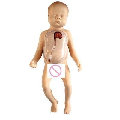 Baby-Mutterschaftsmannequin mit Neugeborenenpflege PICC-Modell