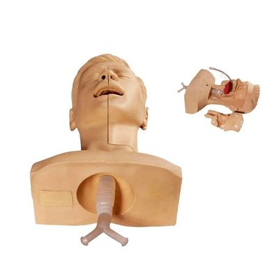 Krankenschwesterbildung Manikin Advanced Suction Simulator für eine effektive Sputum Aspiration