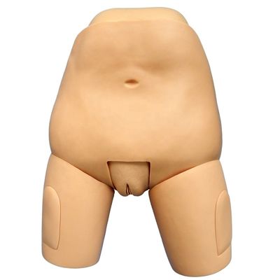 Nachgeburtsmannequin Pflege Simulator für Medizinische Wissenschaft Fundus der Gebärmutter Untersuchung