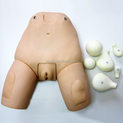 Nachgeburtsmannequin Pflege Simulator für Medizinische Wissenschaft Fundus der Gebärmutter Untersuchung