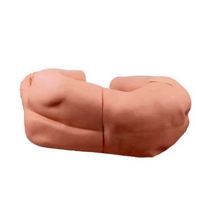Vivid Adult Nursing Manikin Innovatives Modell für die klinische Ausbildung der Lendenpunktion