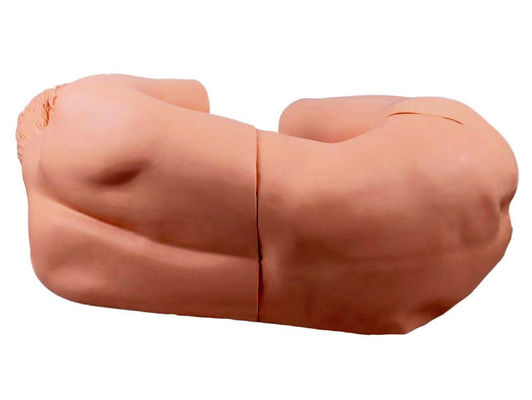 Vivid Adult Nursing Manikin Innovatives Modell für die klinische Ausbildung der Lendenpunktion
