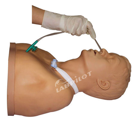 2023 Tracheotomie für Erwachsene Pflege und Saugpflege Krankenschwester Manikin Top-Trainingswerkzeug der Krankenhäuser