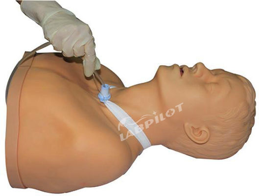 2023 Tracheotomie für Erwachsene Pflege und Saugpflege Krankenschwester Manikin Top-Trainingswerkzeug der Krankenhäuser