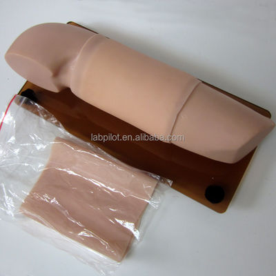 Mannequin für Geburtshilfe und Gynäkologie Modell Verhütungsmittel Lehre Armmodell