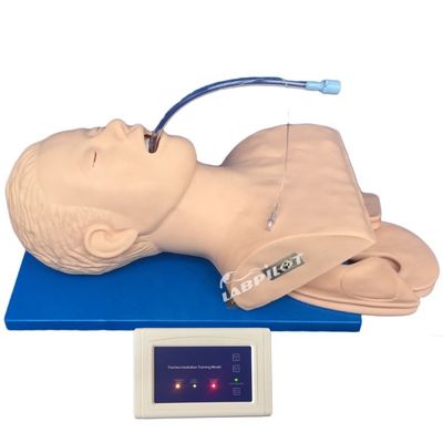 Notfall-Fähigkeiten Lehre Gegenstand Intubation Training Simulator mit elektronischem Monitor