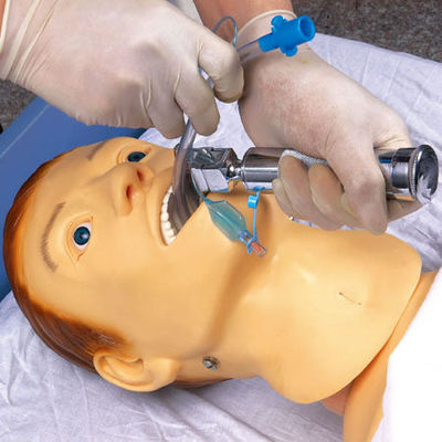 Medizinische Lehre Simulatoren Krankenpflege Ausbildung Manikin für NG-Rohrzufuhr und Intubation