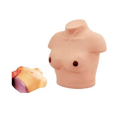 Leuchtende weibliche Torso-Mannequin mit Brustuntersuchung und Palpationsdemonstrationsmodell