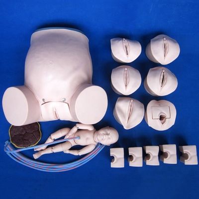 Demonstration der Patientenversorgung Umfassende Geburtsschulung Modell Geburtshilfe Technische Ausbildung Manikin