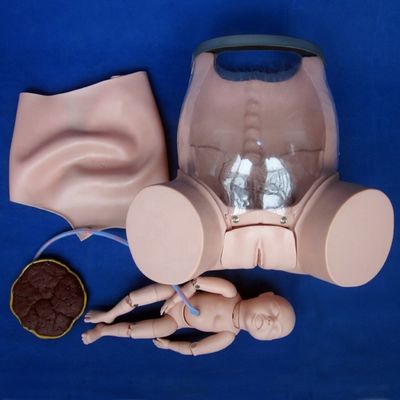 Demonstration der Patientenversorgung Umfassende Geburtsschulung Modell Geburtshilfe Technische Ausbildung Manikin