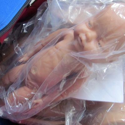 Mannequin für Leopold-Manöver und Geburtsschulungen im Programm für Krankenschwestern und Hebammen