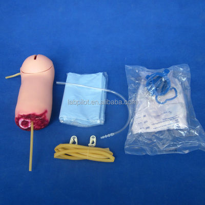 Erweitertes Modell für die medizinische Wissenschaft von PVC-Oberbein-Trauma-Hämorrhagie und amputiertem Arm