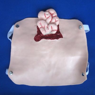Erweiterte PVC-Traumamodelle für die Ausbildung der Wundpflege und die Demonstration der Patientenversorgung