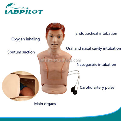 Halbkörper-Krankenpflege-Mannequin zur nasogastrischen Fütterung und Trachea-Intubations-Trainingshilfe