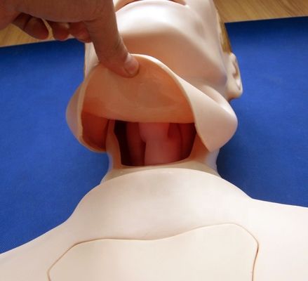 Halbkörper-Krankenpflege-Mannequin zur nasogastrischen Fütterung und Trachea-Intubations-Trainingshilfe