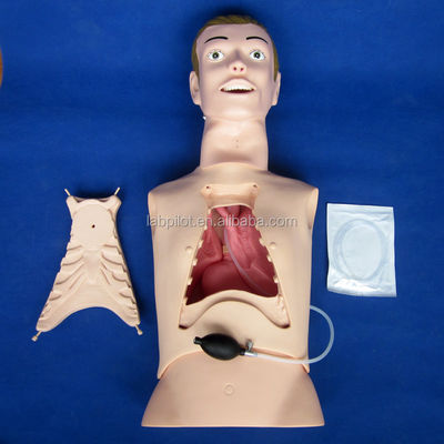 Halbkörper-Krankenpflege-Mannequin zur nasogastrischen Fütterung und Trachea-Intubations-Trainingshilfe