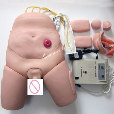 Elektronischer Monitor Urethralkatheterisierung Training Simulator für Pflegefähigkeiten