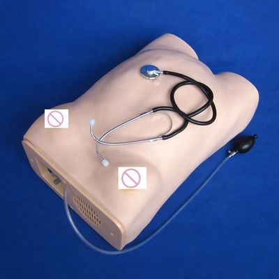 Geburtshilfe-Untersuchung Mutterschaft Bauchpalpation Schwangere Frauen Pflege Mannequin