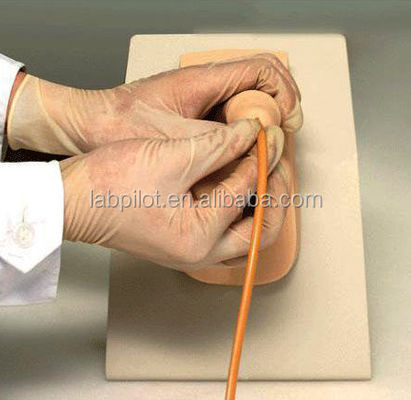 Männliche Blasenmodell-Urethralkatheter Simulator für Patienten Pflege Demonstration