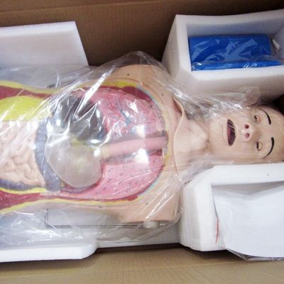 Innovative Fähigkeiten im Bereich Nasen-Gastric Tube und Luftröhre