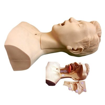 Vorzugsmannequin der Schulen für die fortgeschrittene Saugschulung und das Modell zur Saugung von Sputum