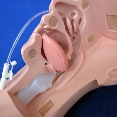 Vorzugsmannequin der Schulen für die fortgeschrittene Saugschulung und das Modell zur Saugung von Sputum